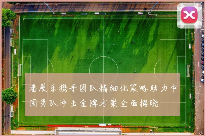 潘展乐携手团队精细化策略助力中国男队冲击金牌方案全面揭晓